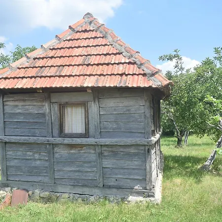 Hébergement de vacances Domacinstvo Jelkici Zvornik