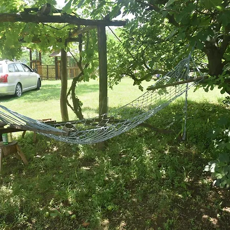 Domacinstvo Jelkici Hébergement de vacances