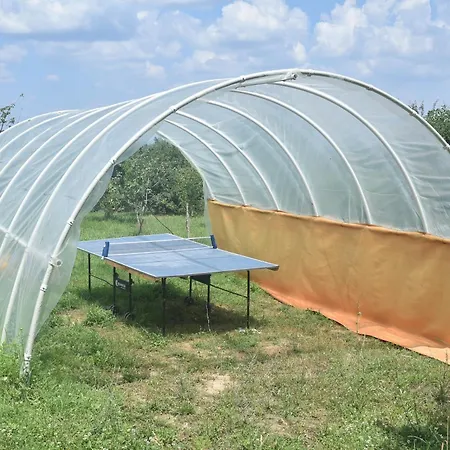 בית נופש Kuca Za Odmor Domacinstvo Jelkici