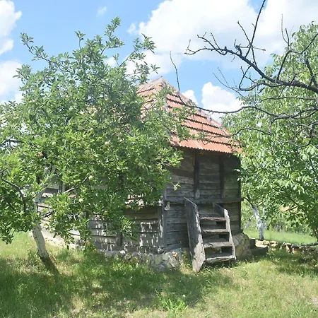 Hébergement de vacances Domacinstvo Jelkici *