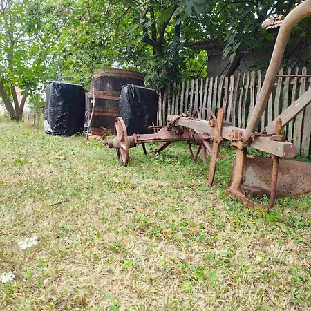 Kuca Za Odmor Domacinstvo Jelkici * זבורניק