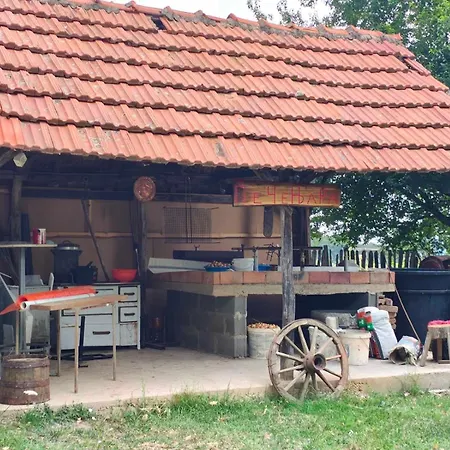 Domacinstvo Jelkici Hébergement de vacances