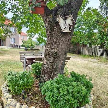 Kuca Za Odmor Domacinstvo Jelkici זבורניק