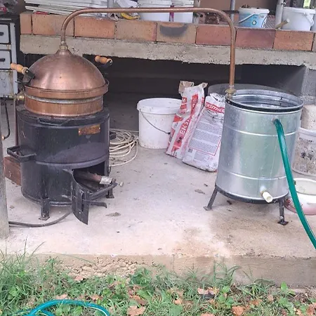 Domacinstvo Jelkici