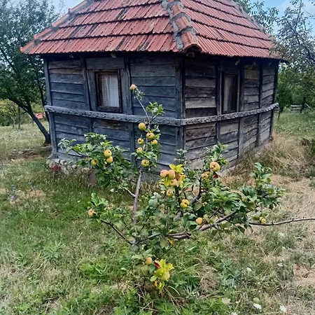 Domacinstvo Jelkici Hébergement de vacances *